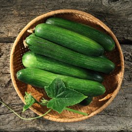 Okurka